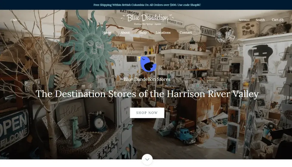 Blue Dandelion Stores project screenshot