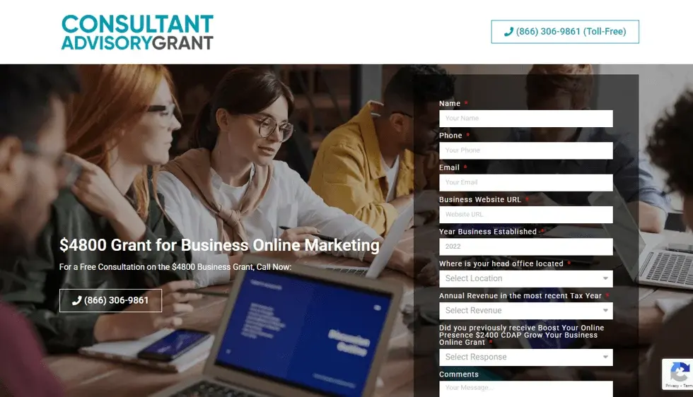 Consultant Advisory Grant project screenshot