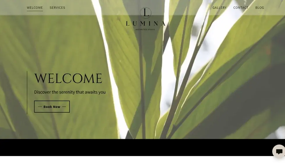 Lumina Aesthetics Studio project screenshot